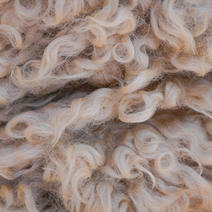 Raw <b>Wool</b>/ <b>Wool</b> Fiber Sheep <b>Wool</b> - Product Image 5