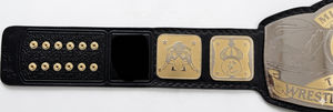 Ceinture de championnat de lutte NWA Mid South Tag Team, taille adulte, réplique - Product Image 3