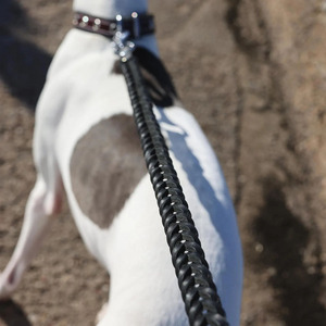 Wholesale Durable Leather <b>Braided</b> Dogs pet Collars crafted from genuine <b>braided</b> leather for long lasting reliability for sale - Product Image 4
