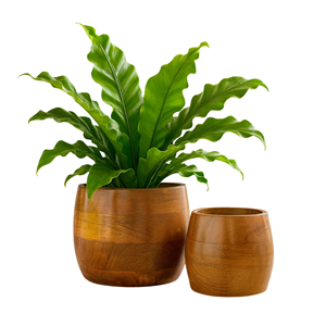 Maceta de madera natural al por mayor de Vietnam, maceta rústica para plantas y flores, maceta decorativa para plantas en maceta, decoración para el hogar y la oficina - Product Image 4