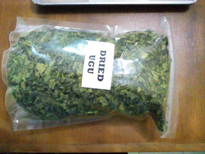 Hojas de calabaza deshidratadas naturales al por mayor, hojas de calabaza Ugu secas de 2 oz, hojas de calabaza secas para cocinar ANGLE - Product Image 2