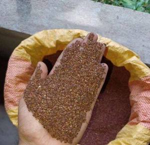 Graines de sésame brun biologiques de qualité supérieure, riches en nutriments, pour la cuisine et la pâtisserie |   Graines de qualité export naturelle en vrac Vantage Odisha 12 - Product Image 2