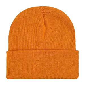 Gorros de Punto con Logotipo Personalizado Bordado, Gorros de Invierno Cálidos y Gruesos para Otoño e Invierno - Product Image 1