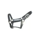 Implantes Dentric, Equipo Terapéutico Veterinario, Instrumento Médico, Halter y Riendas Hechos en Pakistán - Product Image 2