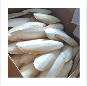 Seiche séchée entière 20-40cm, riche en protéines, fruits de mer en vrac, emballage en sac, 1ère qualité, origine Vietnam Ba Ria-Vung Tau, riches en vitamines, durée de conservation 2 ans - Product Image 1