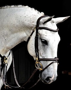 Nueva y Moderna Brida de Cuero Duradera de Primera Calidad 100% para Caballo, Ajustable, para Equitación Inglesa, con Narquera Acolchada Suave y Personalizable - Product Image 4