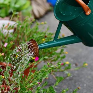 Arrosoir vintage en métal vert avec poignées en cuivre, pommeau de douche, pot à eau classique en acier galvanisé pour plantes d'intérieur et d'extérieur - Product Image 3
