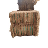 Fibres de coco écologiques de haute qualité pour l'exportation, 6-20 cm, noix de coco séchée, agriculture, 100% naturel pur, balle de 100 kg, marque GWE, GWE-CF