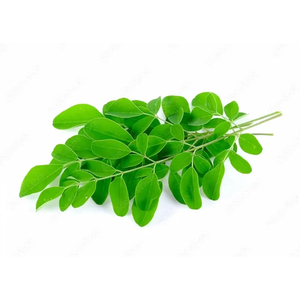 Feuilles de Moringa entières séchées, produit naturel à base de plantes pour mélanges culinaires et usage industriel - Product Image 4