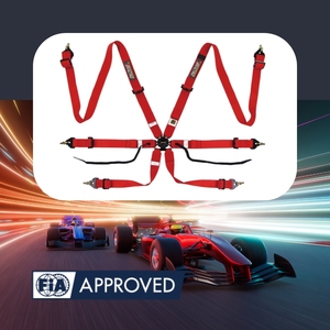 Professional Safety Belt TBRACING Sport Plus FIA Approved Motorsport Harness OEM ODM Wholesale Supplier For Race Teams - Product Image 1