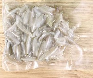 Anchois entiers ronds surgelés IQF, ingrédient de fruits de mer, fournisseur de poissons marins du Vietnam - Product Image 6