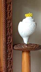 Porte-bougies décoratifs en céramique blanche en forme de coquillage, pour la décoration de table de style côtier, vente en gros, qualité export - Product Image 3