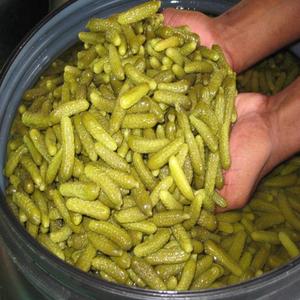 Whole <b>Pickled</b> Cucumber in Glass <b>Jar</b> 500ml 720ml Vietnam Origin Standard Size 3 to 6 cm for Retail and OEM // - Product Image 4