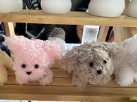 대만 인형 구름 곰 강아지
