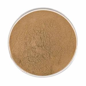 <b>Best</b> Selling 100% Pure Costus Root Powder Naturally Grown Food Grade Saussurea Lappa powder Rich in Natural Antioxidants - Product Image 3