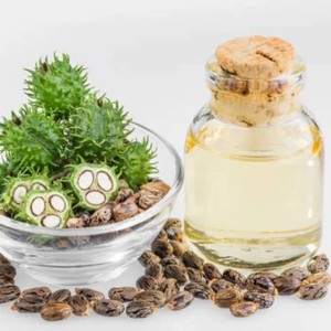 Aceite de Ricino 100% Puro y Natural, Prensado en Frío, Calidad Superior, Estándar Industrial, Herramientas para el Cuidado de la Piel, Directo de Terra Bio 2 - Product Image 1