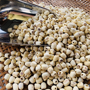 สำหรับชงชา ดื่มหลังผสมกับน้ำ เมล็ดบัวแห้งทั้งเมล็ดที่มีคุณค่าทางโภชนาการสูงมาก เมล็ดบัวดิบ คุณภาพดี ราคาถูก - Product Image 1