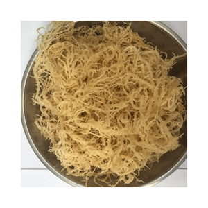 สาหร่าย cottonii จากเวียดนามมีสีและขนาดต่างๆโดยปราศจากเกลือ - Product Image 6