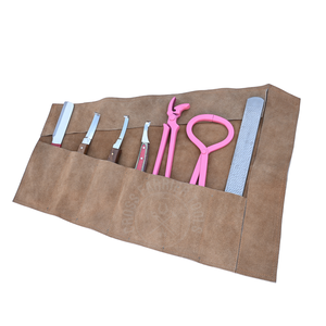 Kit d'outils professionnels pour fermeurs avec testeur de sabots, lime à sabots, couteau à pointe courbée, couteau à sabots, boucle à abcess, lame étroite - Product Image 1