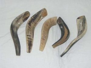 Shofar Kosher Hecho a Mano de Cuerno de Carnero, Pulido, de Todos los Tamaños, Precio de Fábrica, Hecho en Cuerno de Kudu, Shofar Natural de Carnero, Trompeta Hebrea, Cuerno para Tocar - Product Image 3