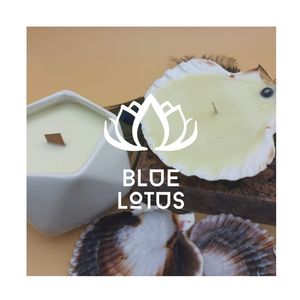 PIEZAS DE CONCHA MARINA MÁS VENDIDAS para decoración artesanal, uso en arte con resina, diseño de mosaico y producción de productos hechos a mano, Vietnam - Product Image 1