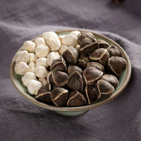 Biji Moringa Premium 100% Alami, Biji Moringa Oleifera Hitam yang Dapat Dimakan FOB