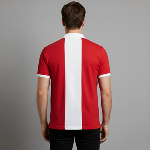 เสื้อโปโลผู้ชายผ้าฝ้ายถัก 100% แบบสั่งทำพิเศษ ทรงหลวม แขนสั้น พิมพ์ลายโลโก้ด้วยความร้อน สไตล์ฮิปฮอป - Product Image 3