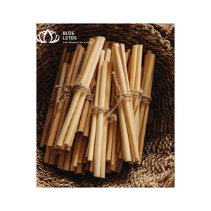 Pajita de Bambú con Pared Interior Pulida, MUY VENDIDA |   Pajita Reutilizable de Diámetro Ancho para Beber Boba - Product Image 1