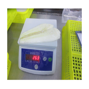 Flounders congelés de qualité supérieure, vente en gros, approvisionnement en vrac, prêts à être expédiés, qualité alimentaire, exportation mondiale - Product Image 6