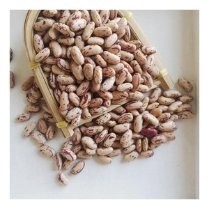 Bulk White Speckled Kidney <b>Bean</b> for food High Quality Light Speckled Kidney <b>Beans</b> /Pinto <b>Beans</b>/Sugar <b>Beans</b> - Product Image 1
