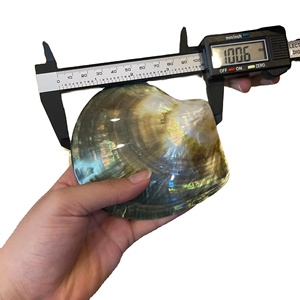 ไข่มุกเปลือกหอยธรรมชาติจากเวียดนาม วัสดุสำหรับงานฝีมือ เครื่องประดับ งานฝังตกแต่ง ใช้สำหรับครัว บ้าน ของที่ระลึก - Product Image 1