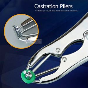 Elastrator Castrador Aplicador Plástico Anillo Azul Herramienta Veterinaria Cachorro Cola Banding Acoplamiento Animal Cuidado Veterinario - Product Image 6