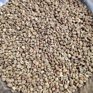 Granos de Café Verde Robusta de Vietnam de Alta Calidad, con una Pureza Superior al 90%, Nueva Cosecha, Grado AA Plus, Bolsas de PP de 60 kg - Product Image 5
