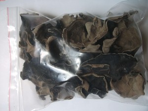 Hongo Negro de Primera Calidad – Seco Natural, Alta Calidad, Mejores Precios // Mr. Tom - Product Image 6