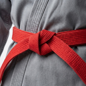 Uniforme de Taekwondo Poomsae approuvé par la WT, combinaison de compétition respirante - Product Image 6