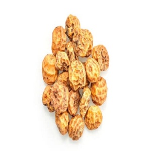 ไทเกอร์นัท ราคาดีที่สุด - Product Image 6
