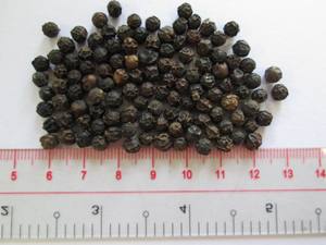 Pimienta negra vietnamita de alta calidad, granos de pimienta a granel, MC Asta, preguntas frecuentes, fiabilidad para sabor caliente y picante, producto individual de hierbas y especias - Product Image 5