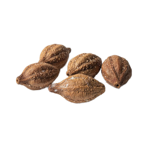 Ingrediente de Triphala: Myrobalan - Product Image 1