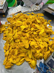 Premium Tropical Dried Soft Mango Naturally Delicious Soft Texture Fruit Snack For Wholesale And Distribution - Product Image 6