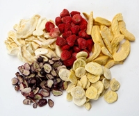 4Kg 6Kg 10Kg 15Kg Fruit Gevriesdroogde Mini Groente Huis Vriesdroger Machine Voedsel Vacuüm Lyofilisator