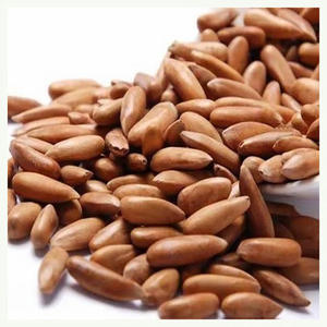 Prix de gros des noyaux de pignons de pin et des pignons de pin secs biologiques en coque - Product Image 3