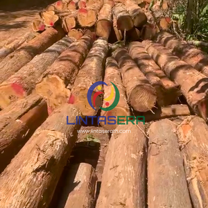 Premium Golden Teak Wood <b>Logs</b> from Thailand for Furniture Manufacturing Woodworking or Construction - Product Image 3