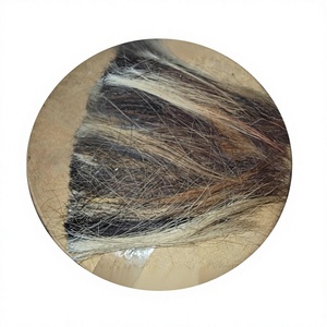 Cepillo de Pelo de Caballo Natural 100% Original de la Mejor Calidad, Líquido, para Exportación, Marca B.S INTERNATIONAL - Product Image 6