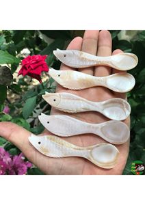 Elegant Mother Of Pearl Spoon Natural <b>Shell</b> Craft Tableware For Hotel Restaurant And Event Decoration - Product Image 1