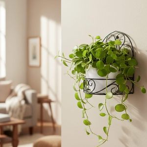 Support mural en métal pour plantes, support décoratif pour plantes suspendues, pour l'intérieur, l'extérieur, le jardin, le balcon, la terrasse, les étagères murales - Product Image 2