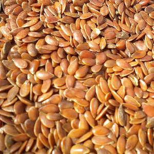 Atasi Plant <b>Extract</b> (Flaxseeds) - Product Image 6