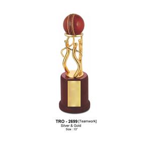 Trophée de cricket d'équipe personnalisé en métal de qualité supérieure pour événements sportifs de bureau ou cricket d'entreprise, disponible pour la livraison mondiale - Product Image 3
