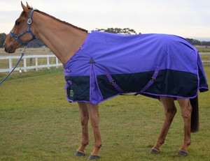 Couverture pour cheval, accessoires équestres, tapis anti-mouches pour cheval, couverture d'extérieur en maille avec cache-cou pour l'été - Product Image 3