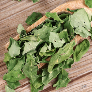 Polvo de Hoja de Moringa Seca a Granel, Suplementos para la Salud y Pérdida de Peso, Recién Pulverizada, Certificada por FSSAI, Precio Bajo de Mercado - Product Image 5