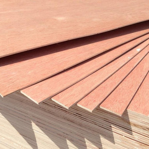 4mm 5mm 9mm 12mm 15mm 16mm 18mm 21mm E0 E1 Grade Melamine Bintangor Okoume Laminated Plywood for Indoor Decoration or Furniture - Product Image 2